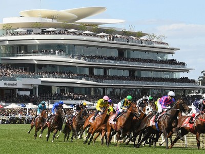 Melbourne Cup Report Awaited Before Internationals For Cox P ... Image 3